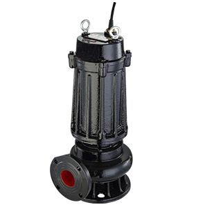 Sewage Pump